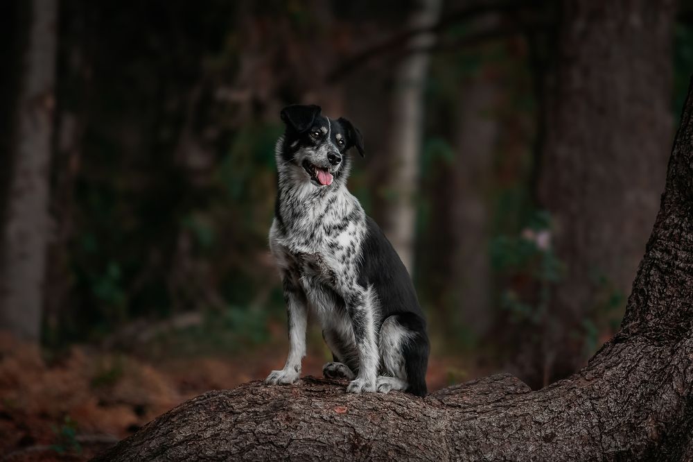 Photograph by София Зайцева