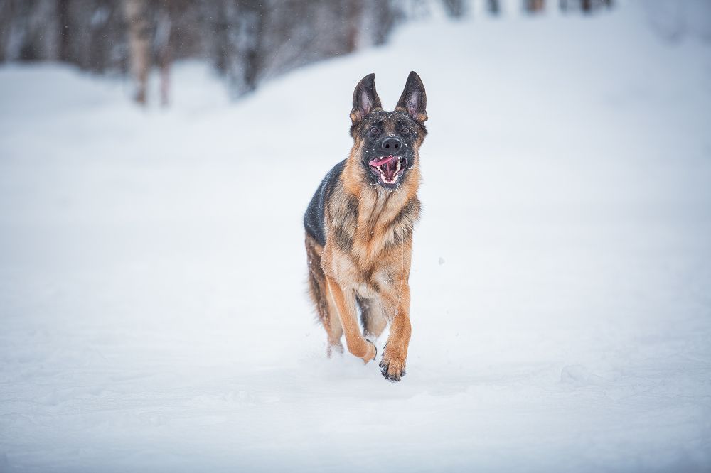 Photograph by София Зайцева