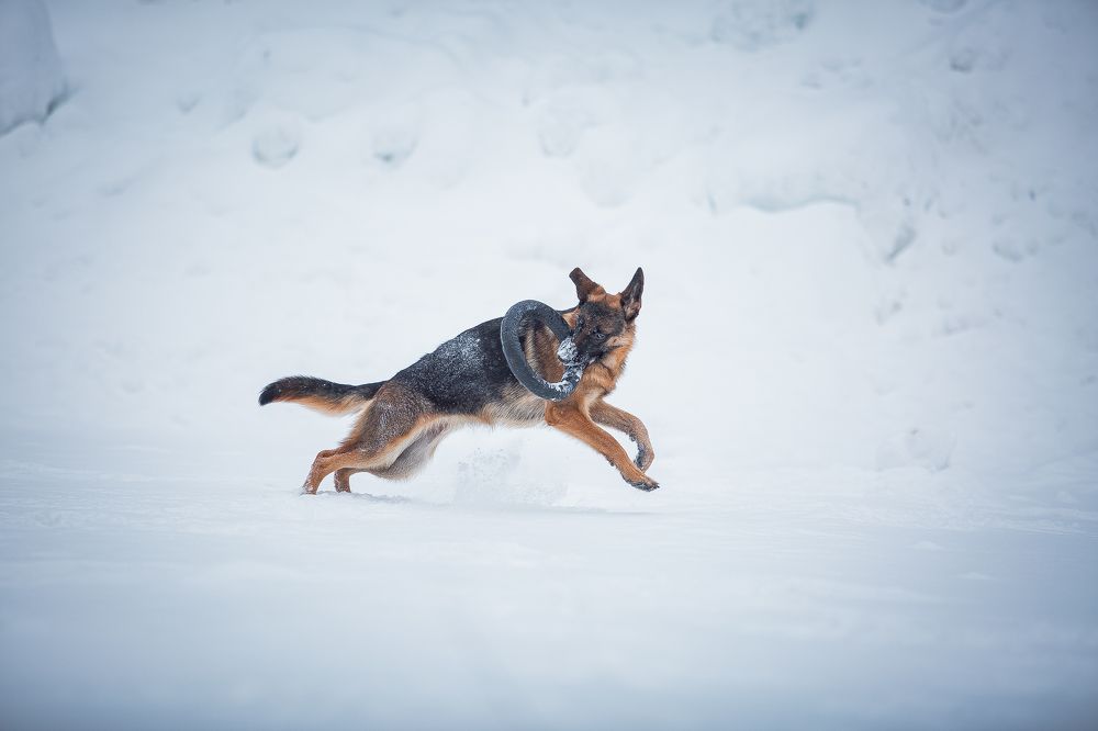 Photograph by София Зайцева