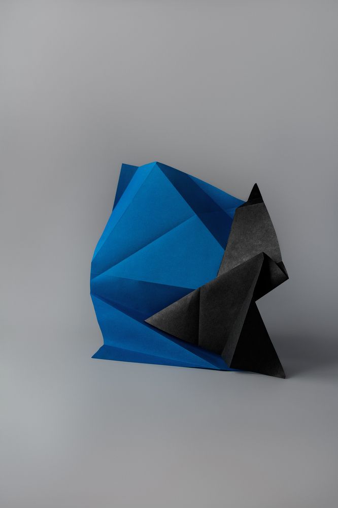 Фотография автора Светлана Бобошина