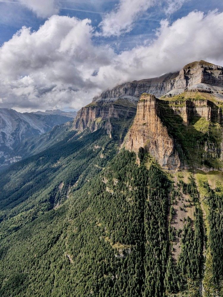 Вечные исполины