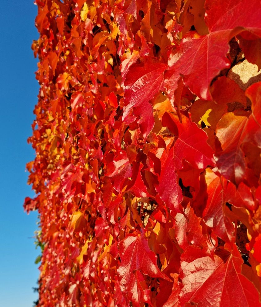 Photograph by Евгений Фесенко