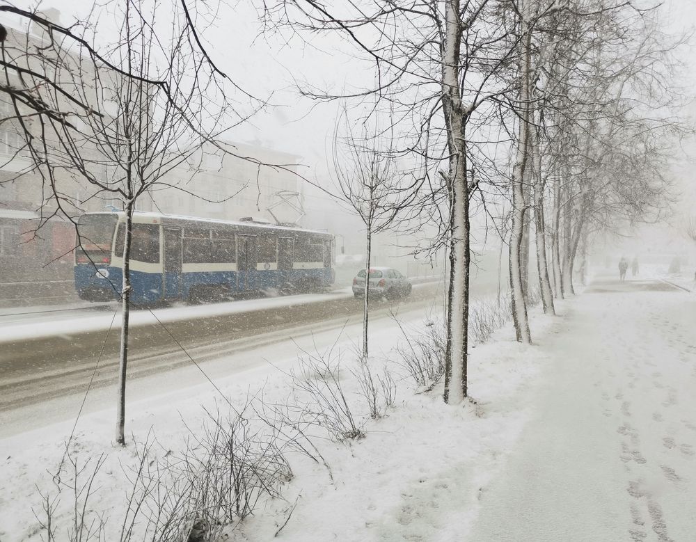 Photograph by Баринов Борис