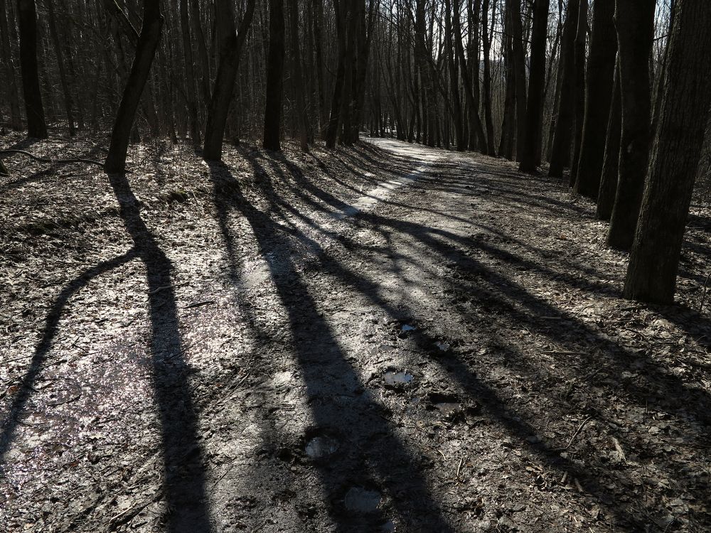 Photograph by Баринов Борис