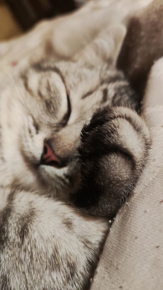 Photograph by Горбач Ирина