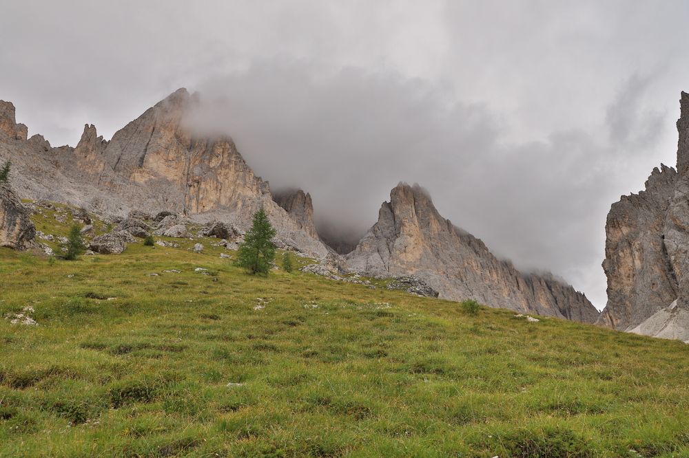 Photograph by Popa Alin