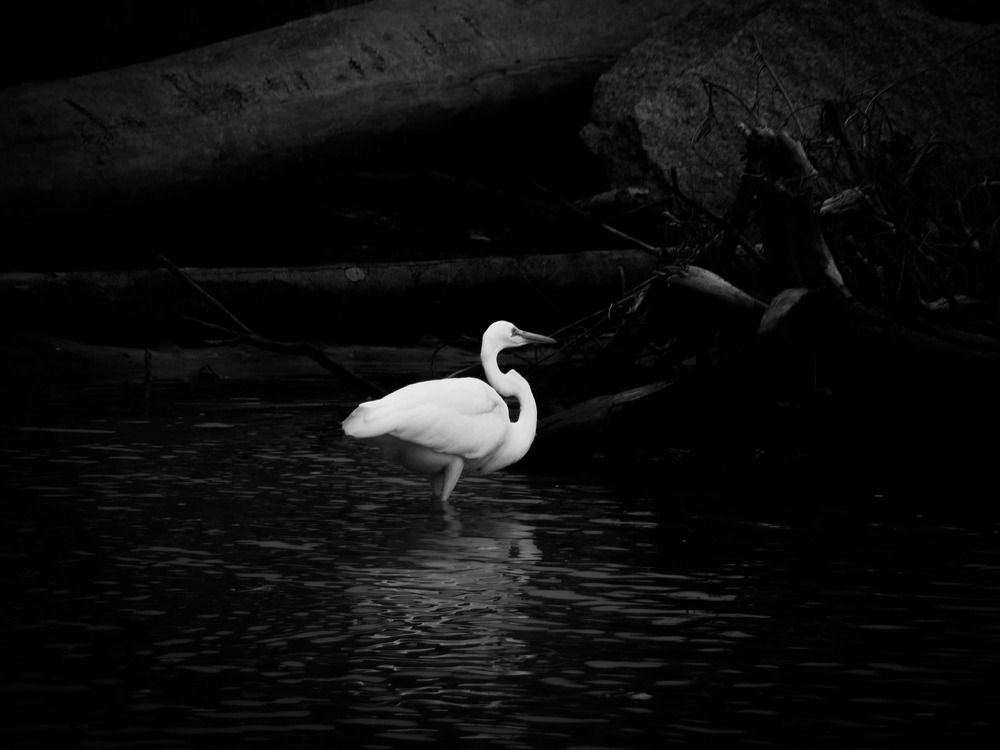 Photograph by Mariana Magalhães