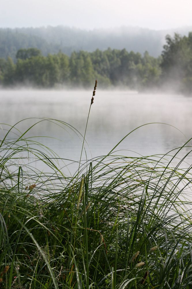 Фотография автора Любовь Харина