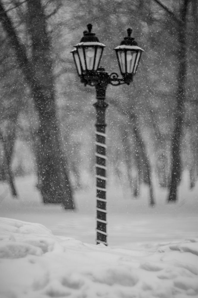 Photograph by Елена Берсенёва