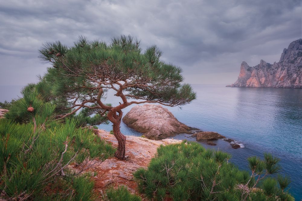 Photograph by Костенко Александр