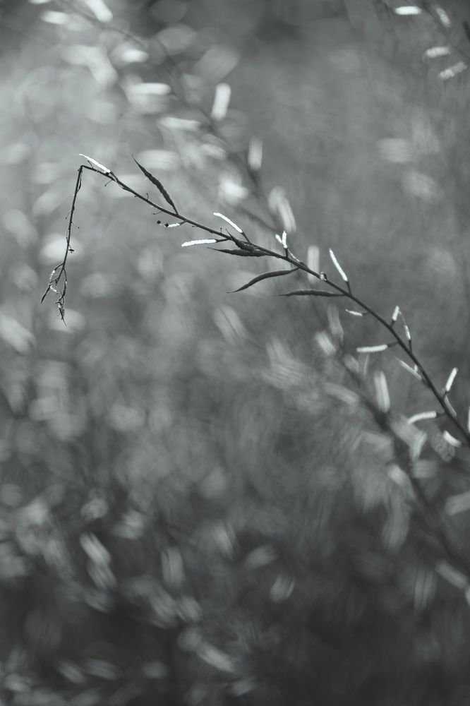 Photograph by Унку Юрий