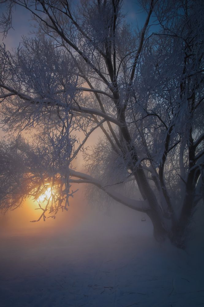 Photograph by Олеся Постнова