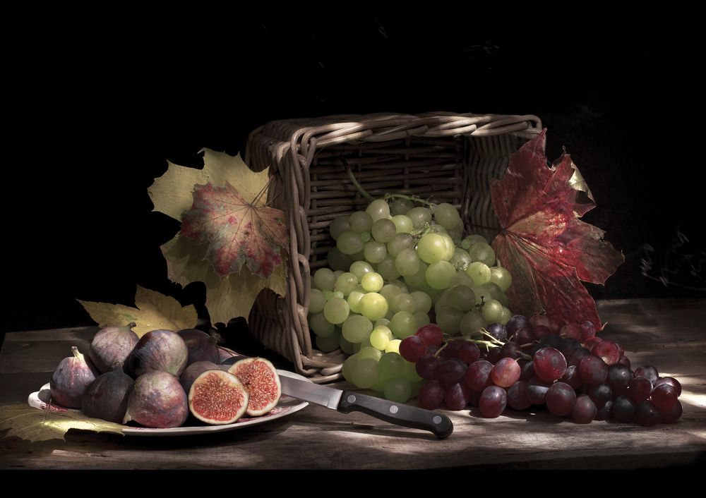 Photograph by Fabio Mora Photo