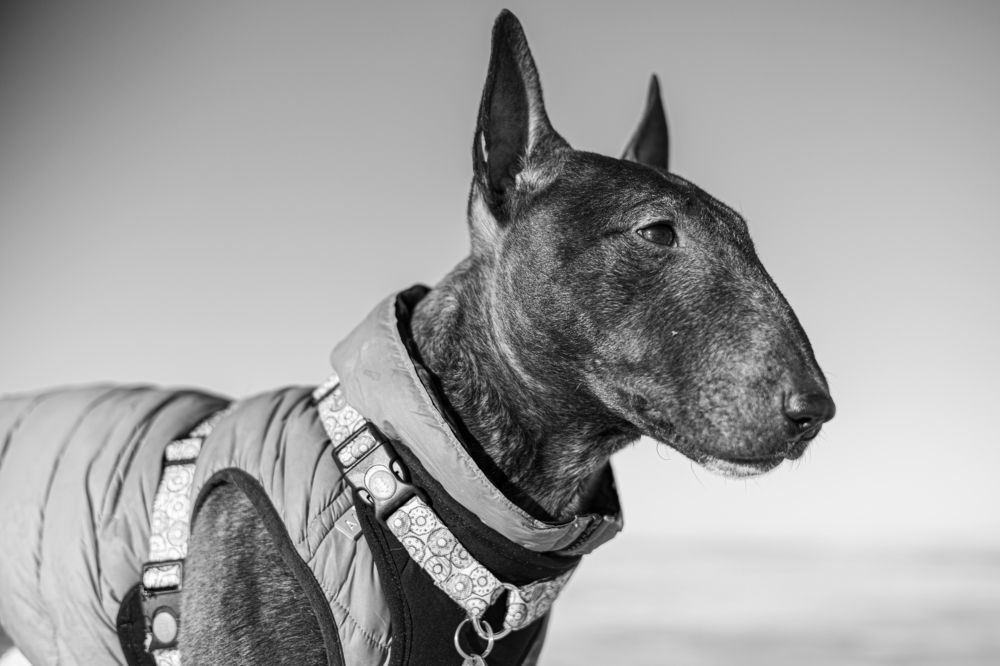 Фотография автора Алина Павлова