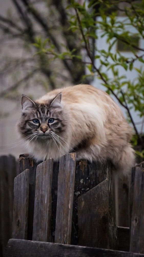 Photograph by Виктория Смехова