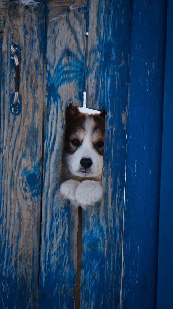 Photograph by Виктория Смехова