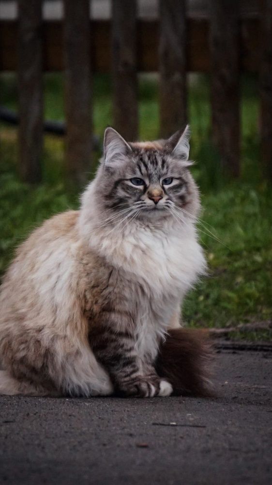 Photograph by Виктория Смехова