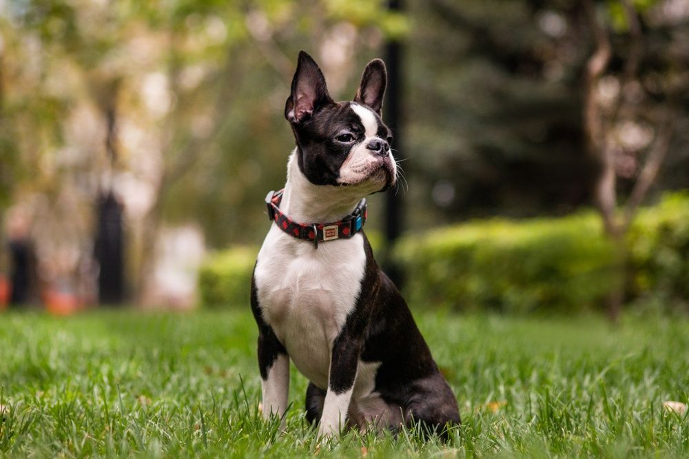 Photograph by Камилла Давлетшина