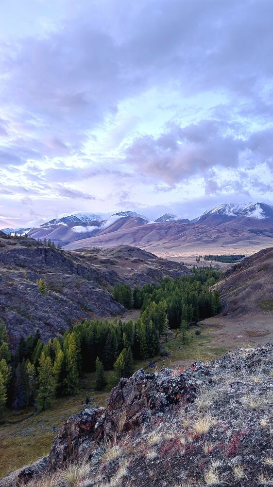 Photograph by Анна Горичева