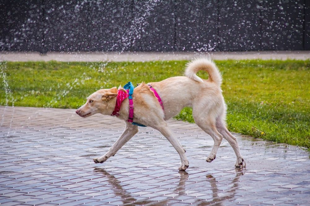 Photograph by Камилла Давлетшина