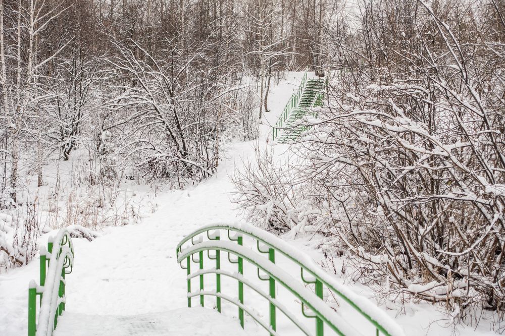 Photograph by Екатерина Шерабурко