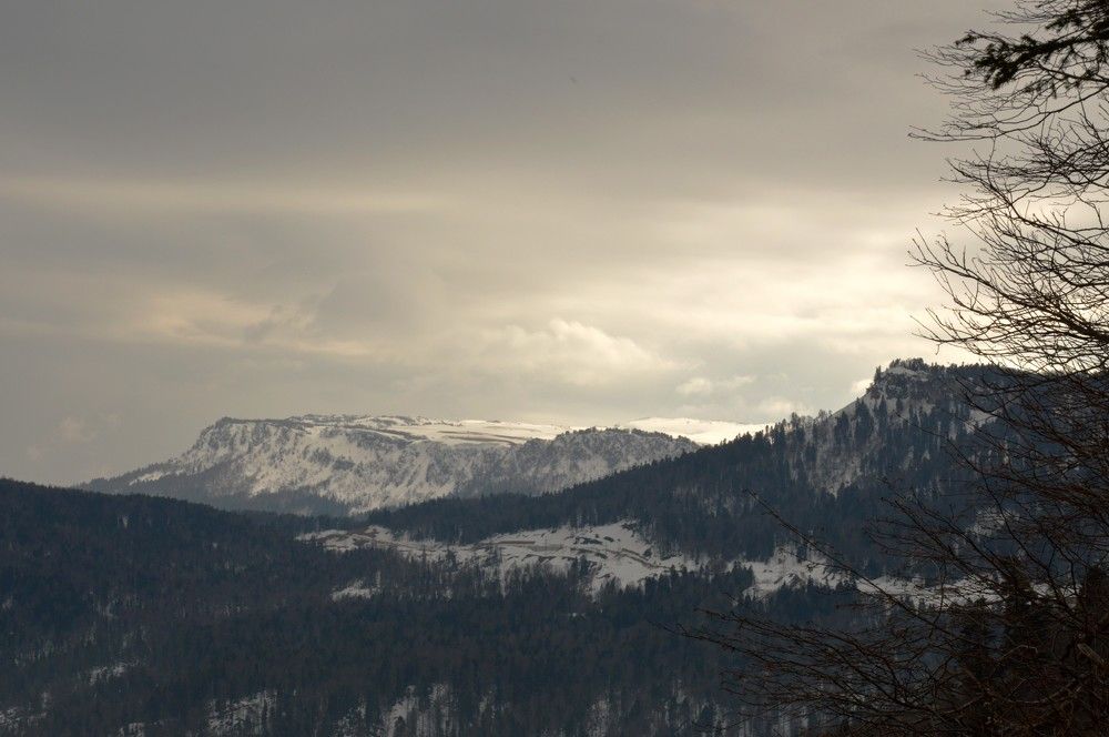 Photograph by Ольга Шевцова