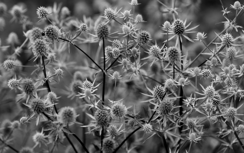 Photograph by Унку Юрий