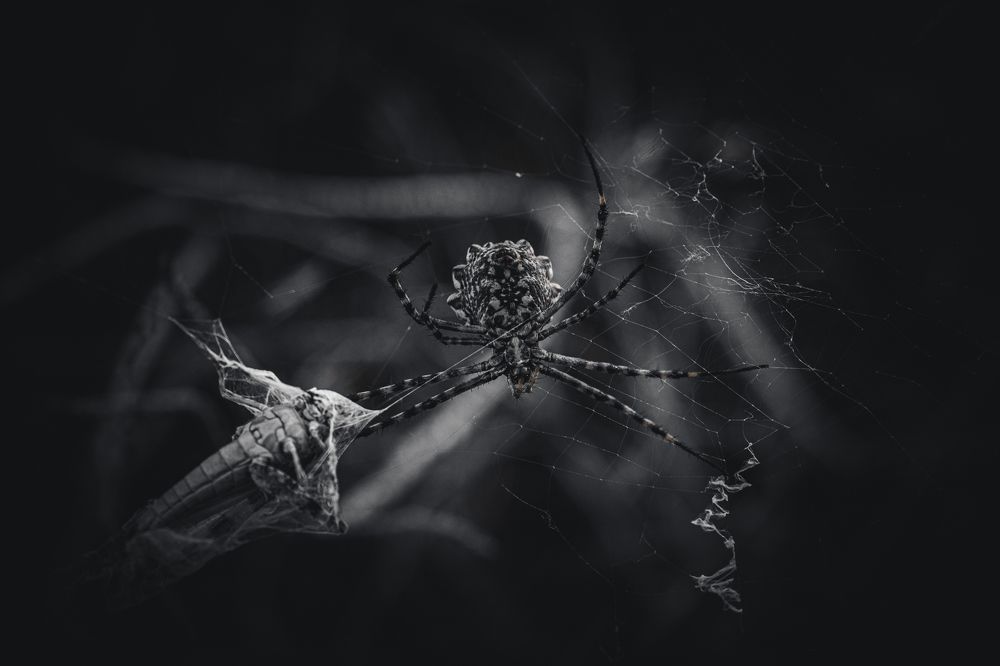 Фотография автора frankie frankie