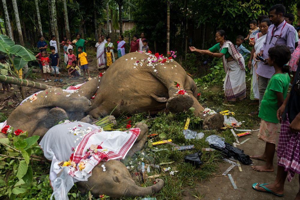 Photograph by Saurav Kumar Boruah