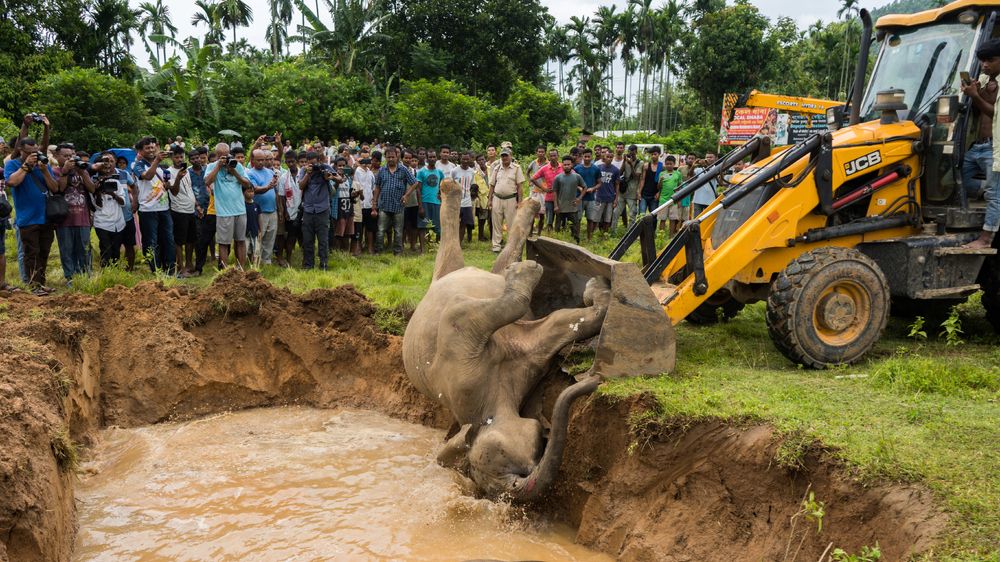 Photograph by Saurav Kumar Boruah