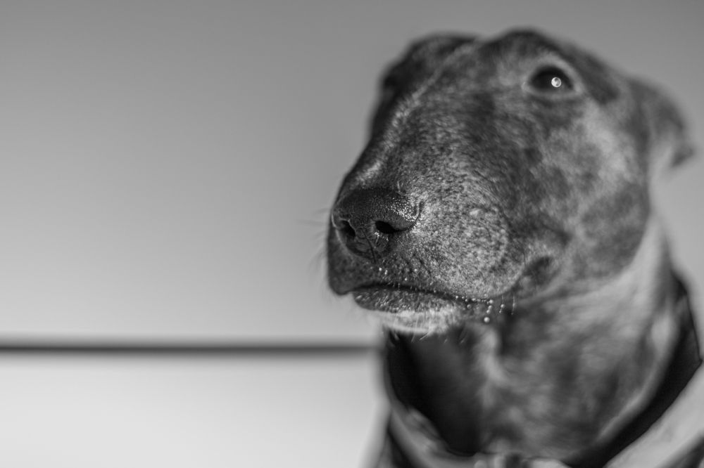 Фотография автора Алина Павлова