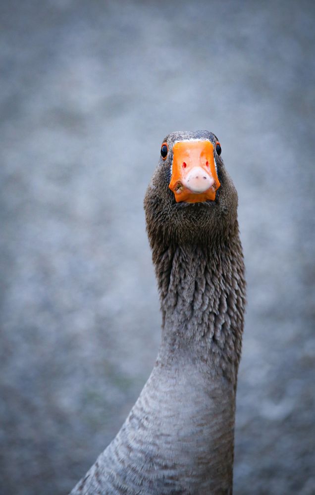 Photograph by Олеся Филатова