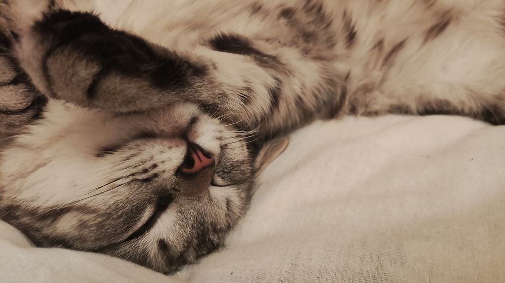 Photograph by Горбач Ирина