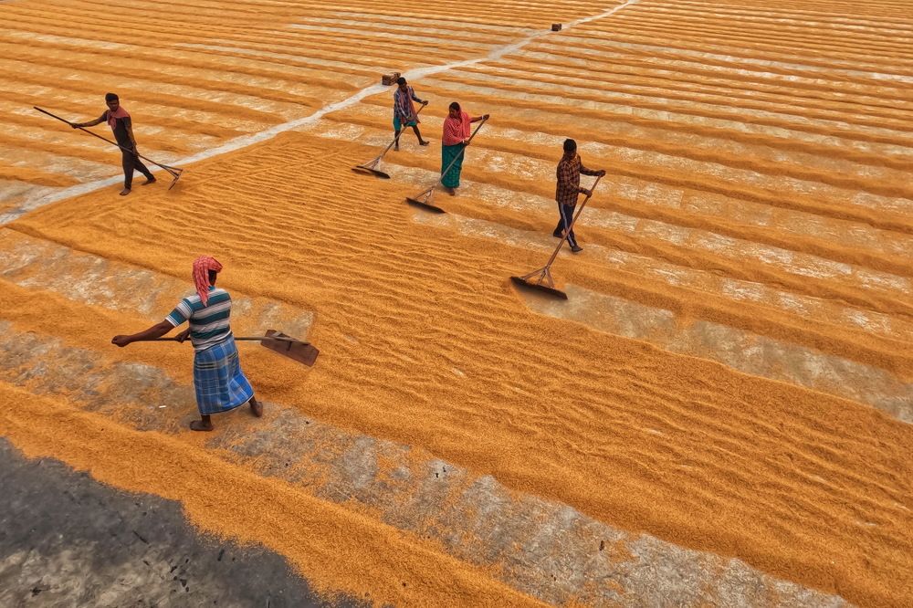 Photograph by DIBAKAR ROY