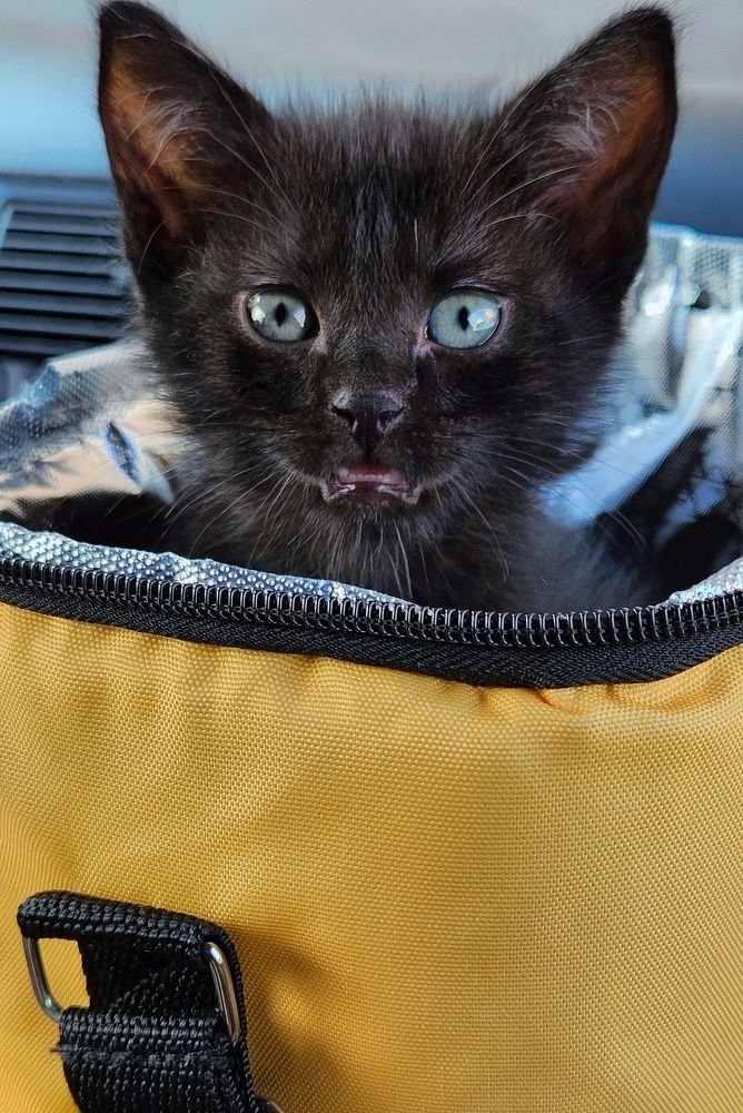 Photograph by Олеся Филатова