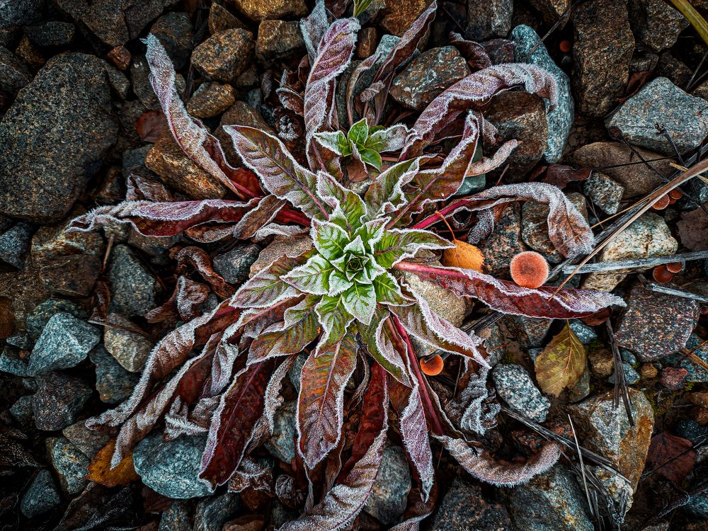 Фотография автора Александр Хухлов
