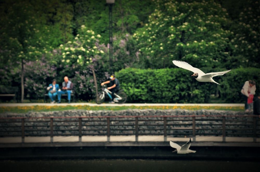 Photograph by Лариса Осьмак