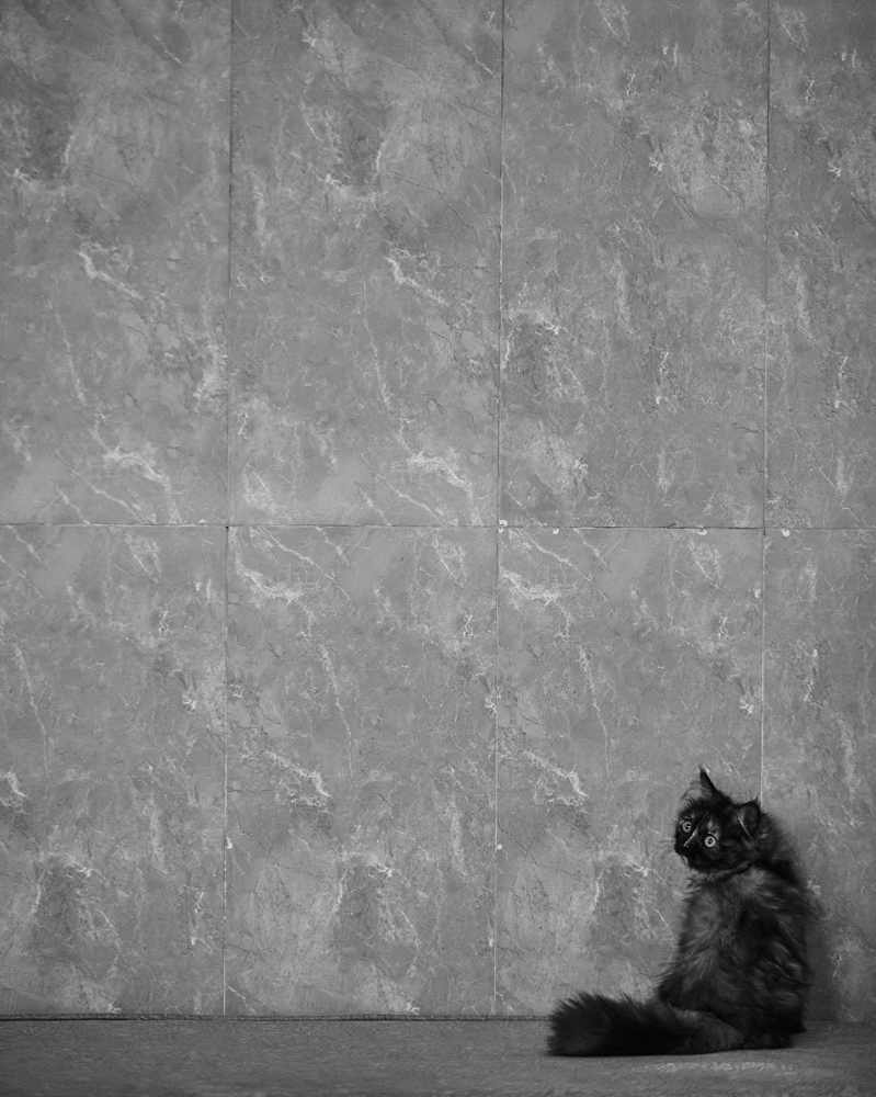 Photograph by Sal Haji