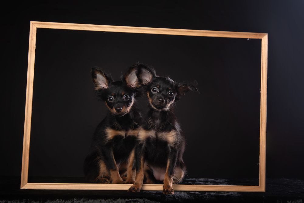 Photograph by наталья залогина