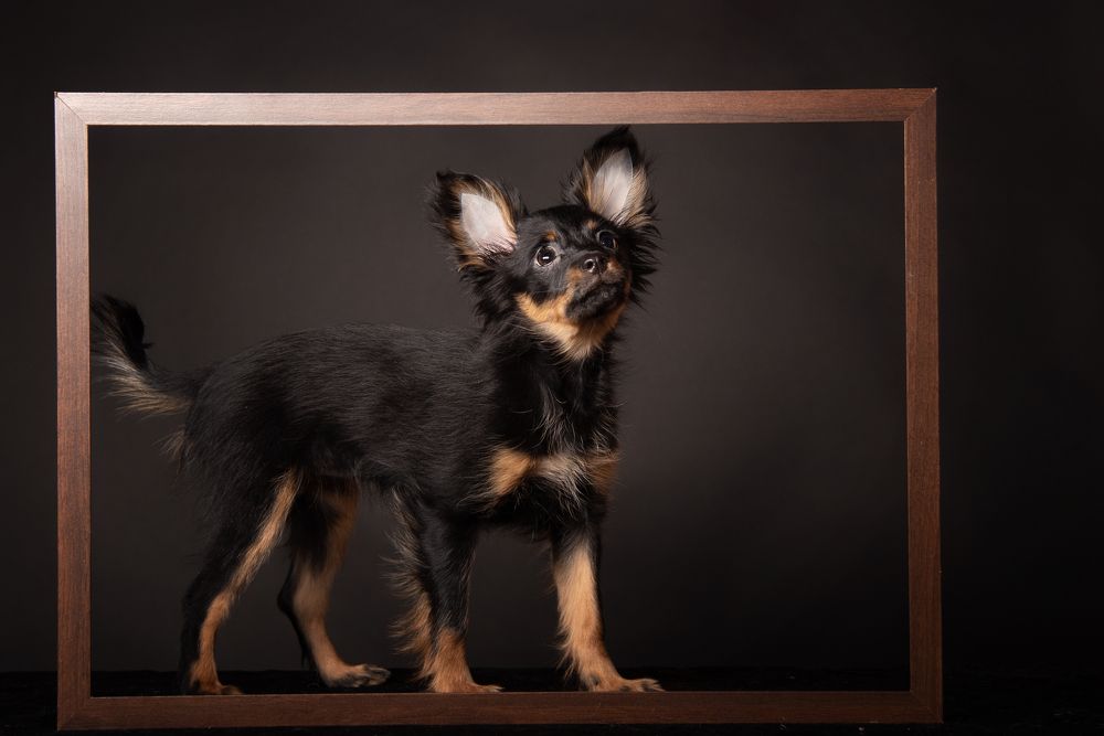 Photograph by наталья залогина