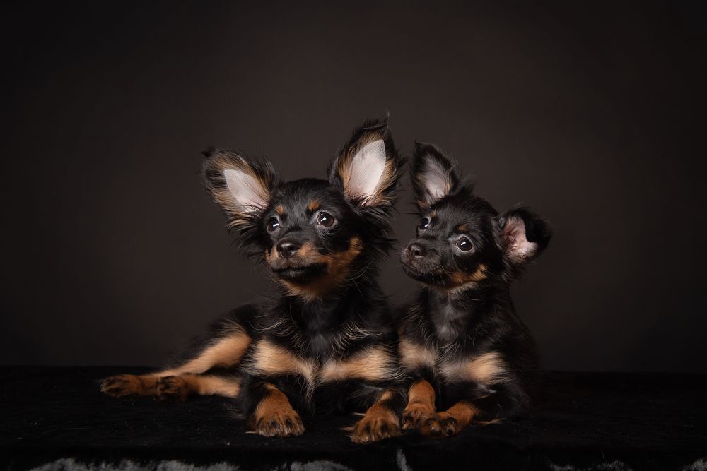 Photograph by наталья залогина