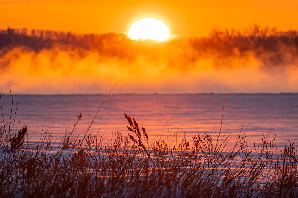 Photograph by Лариса Метелева