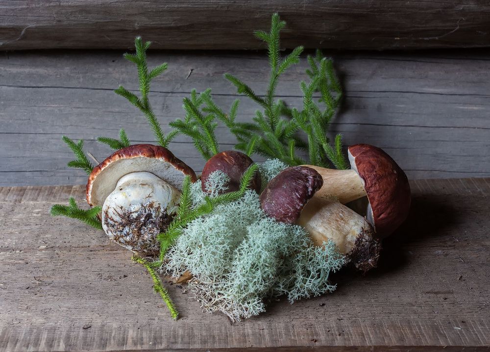 Photograph by Владимир Архипов