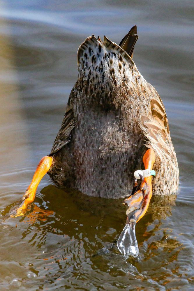 Photograph by Олеся Филатова