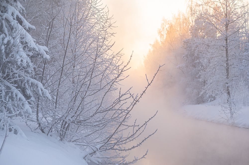 Photograph by Лариса Метелева