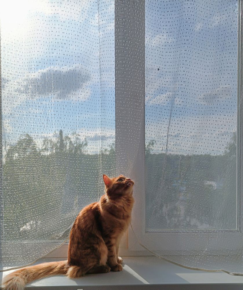 Photograph by Светлана Кондрашова