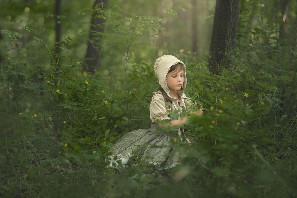 Фотография автора Kiss Aurora Minna