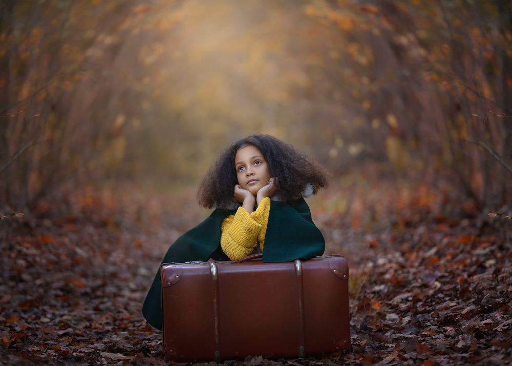 Фотография автора Kiss Aurora Minna