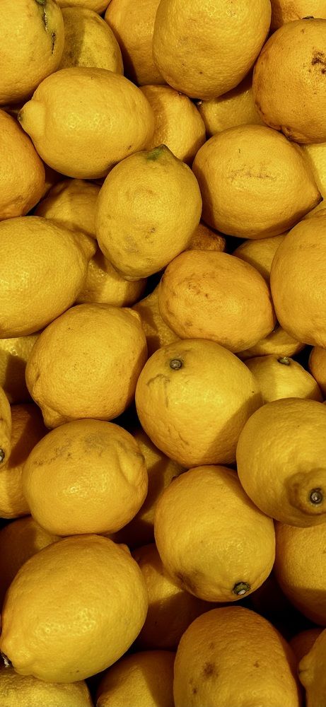 Фотография автора Anna Tikka