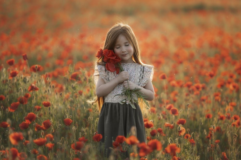 Фотография автора Kiss Aurora Minna